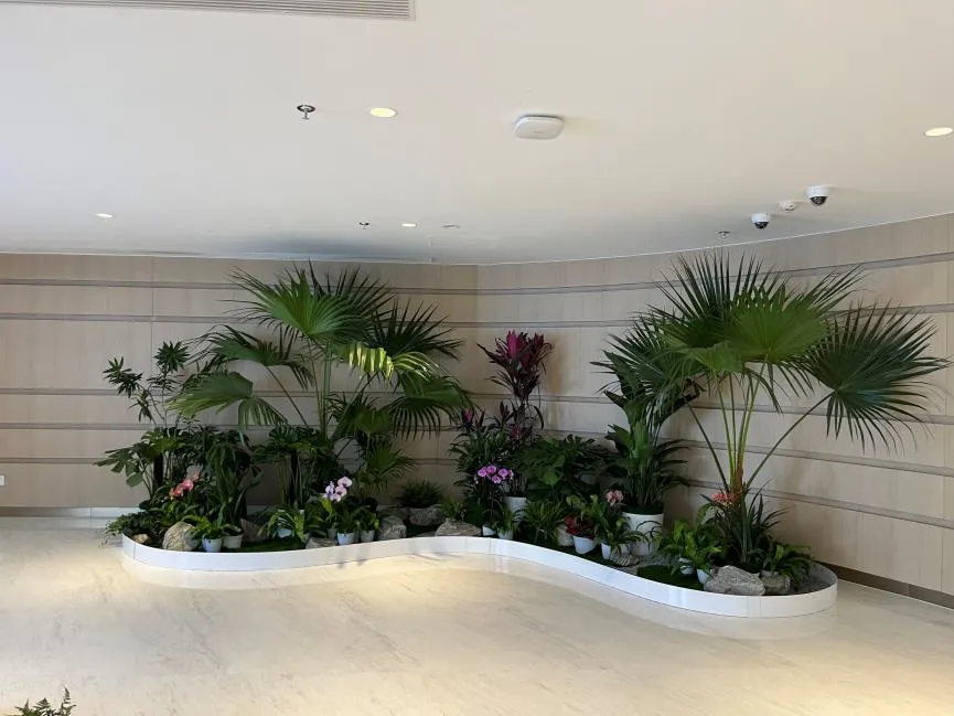 宁波江北盆景租赁设计，装点您的美好世界